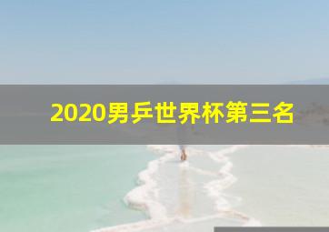 2020男乒世界杯第三名