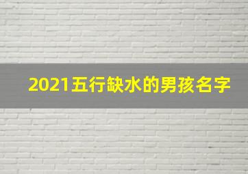 2021五行缺水的男孩名字