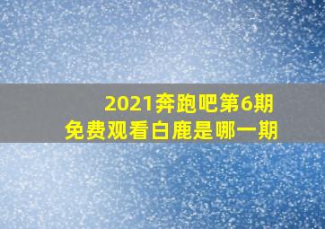 2021奔跑吧第6期免费观看白鹿是哪一期