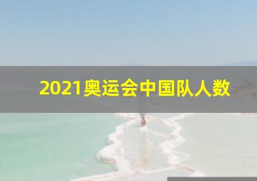 2021奥运会中国队人数