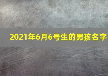 2021年6月6号生的男孩名字