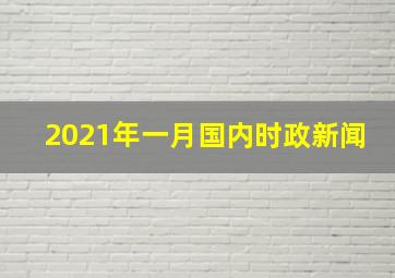 2021年一月国内时政新闻