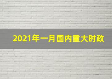 2021年一月国内重大时政