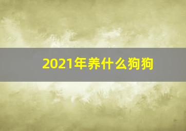 2021年养什么狗狗