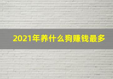 2021年养什么狗赚钱最多