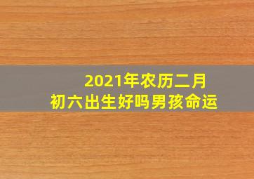 2021年农历二月初六出生好吗男孩命运