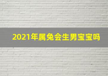 2021年属兔会生男宝宝吗