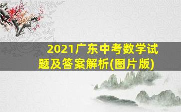 2021广东中考数学试题及答案解析(图片版)