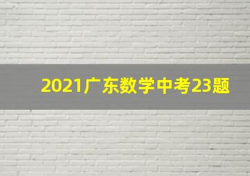 2021广东数学中考23题