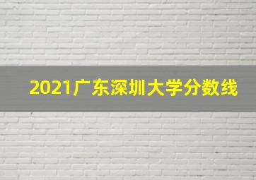 2021广东深圳大学分数线