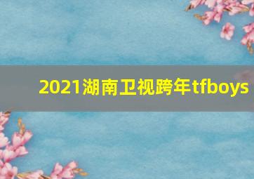 2021湖南卫视跨年tfboys