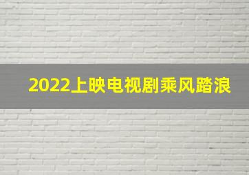 2022上映电视剧乘风踏浪