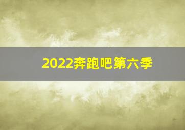 2022奔跑吧第六季