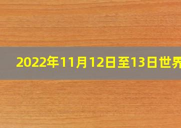 2022年11月12日至13日世界VR