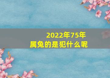 2022年75年属兔的是犯什么呢