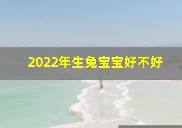 2022年生兔宝宝好不好