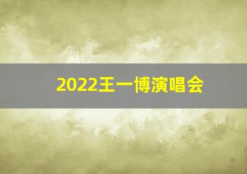 2022王一博演唱会