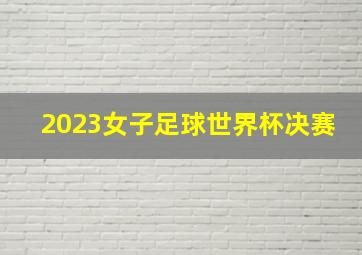 2023女子足球世界杯决赛