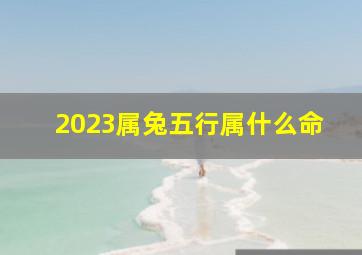 2023属兔五行属什么命