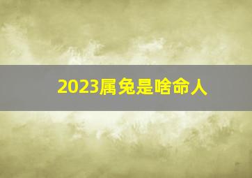 2023属兔是啥命人