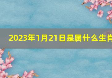 2023年1月21日是属什么生肖