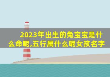 2023年出生的兔宝宝是什么命呢,五行属什么呢女孩名字