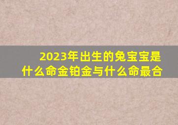 2023年出生的兔宝宝是什么命金铂金与什么命最合