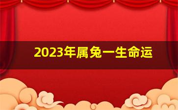 2023年属兔一生命运