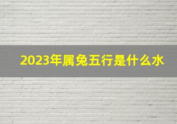 2023年属兔五行是什么水