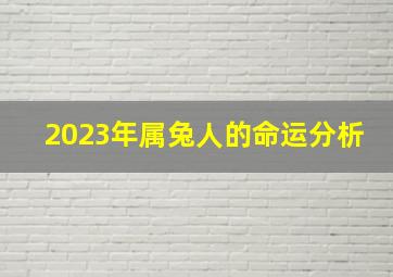 2023年属兔人的命运分析