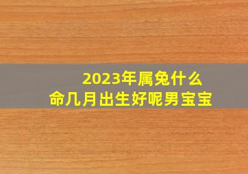 2023年属兔什么命几月出生好呢男宝宝