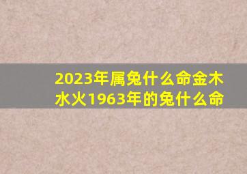 2023年属兔什么命金木水火1963年的兔什么命