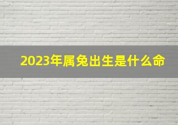 2023年属兔出生是什么命