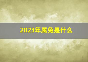 2023年属兔是什么