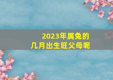 2023年属兔的几月出生旺父母呢