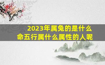 2023年属兔的是什么命五行属什么属性的人呢