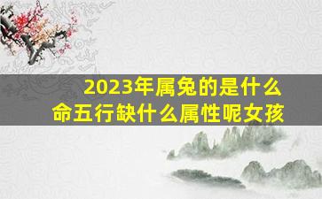 2023年属兔的是什么命五行缺什么属性呢女孩