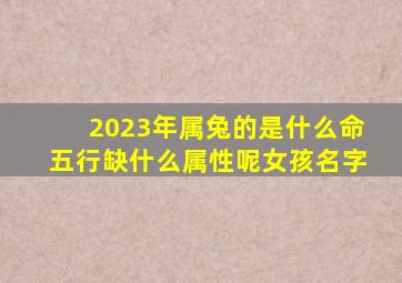 2023年属兔的是什么命五行缺什么属性呢女孩名字