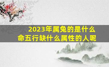 2023年属兔的是什么命五行缺什么属性的人呢