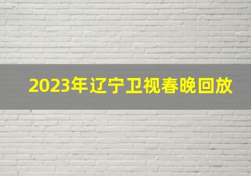 2023年辽宁卫视春晚回放