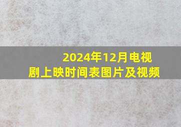 2024年12月电视剧上映时间表图片及视频