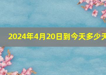 2024年4月20日到今天多少天