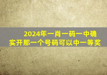 2024年一肖一码一中确实开那一个号码可以中一等奖