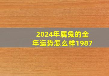 2024年属兔的全年运势怎么样1987