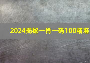 2024揭秘一肖一码100精准