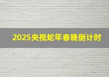 2025央视蛇年春晚倒计时