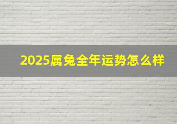 2025属兔全年运势怎么样