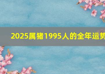 2025属猪1995人的全年运势