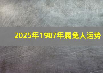 2025年1987年属兔人运势