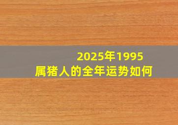 2025年1995属猪人的全年运势如何